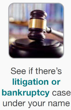 See if there’s litigation or bankruptcy case under your name See if there’s litigation or bankruptcy case under your name